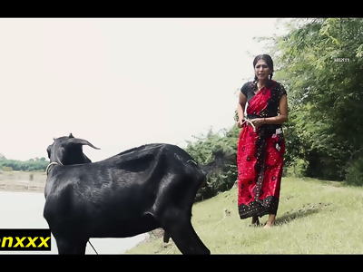 Xnxx pub elegant desi neighbourhood